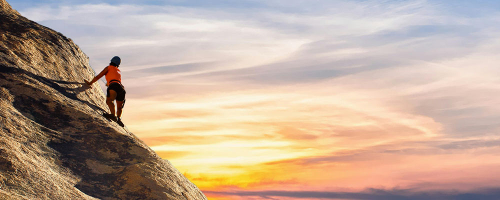 PP����(�й�)���Ź���